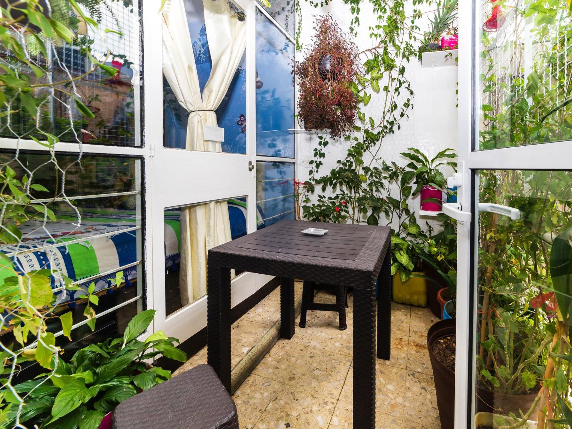 Casa Itzae B&B Polanquito Dog Friendly Ciudad de México Exterior foto