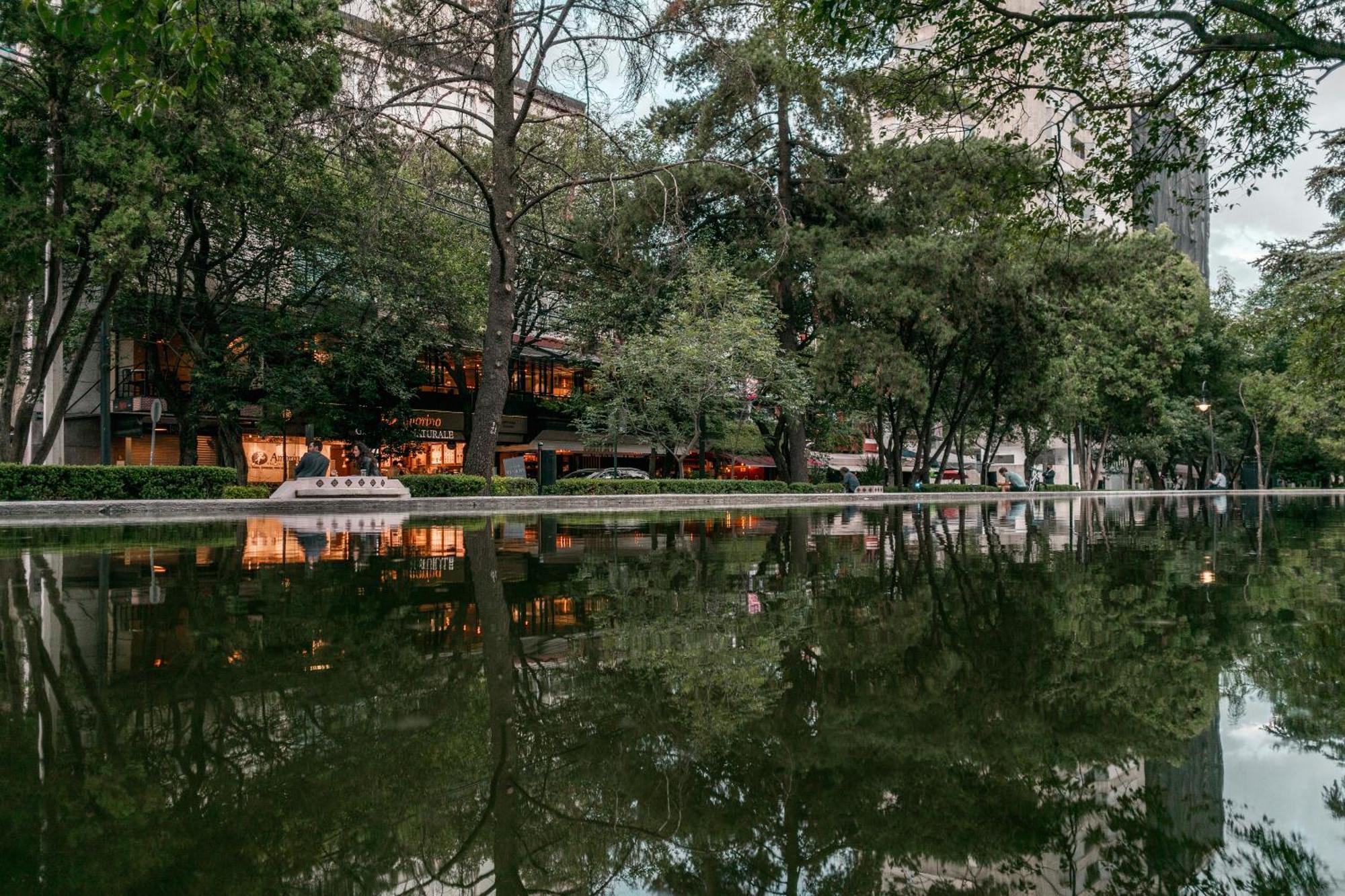 Casa Itzae B&B Polanquito Dog Friendly Ciudad de México Exterior foto
