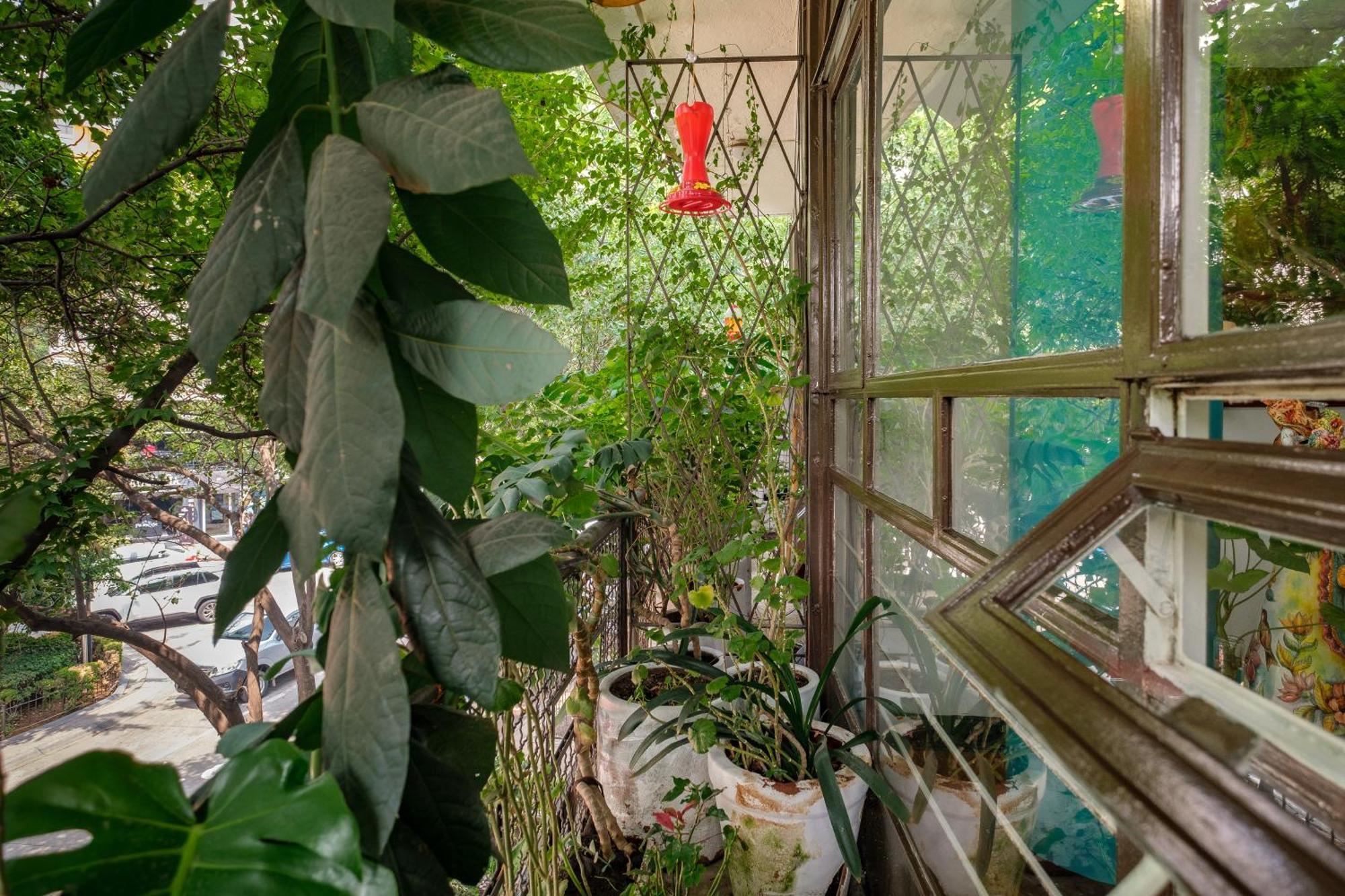 Casa Itzae B&B Polanquito Dog Friendly Ciudad de México Exterior foto