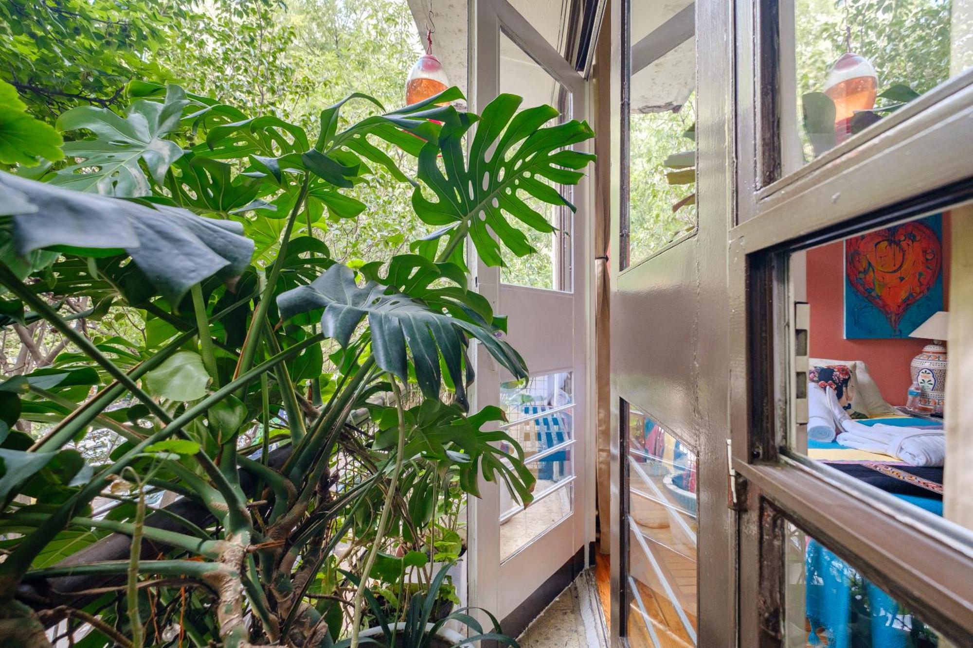 Casa Itzae B&B Polanquito Dog Friendly Ciudad de México Exterior foto